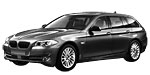 BMW F11 P301D Fault Code